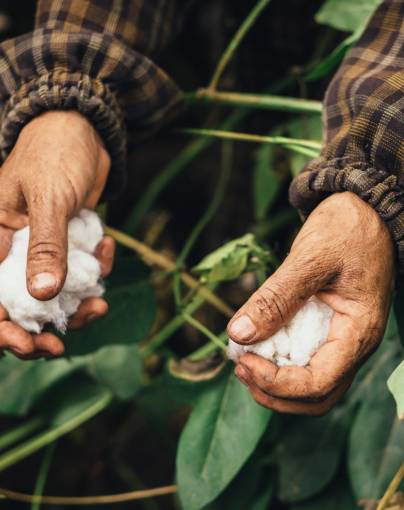 Ethical, from farm to hanger.